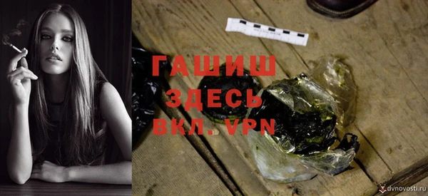 прущие грибы Медногорск